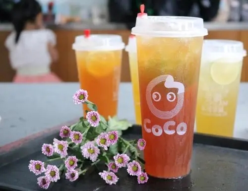 coco奶茶能不能加盟代理