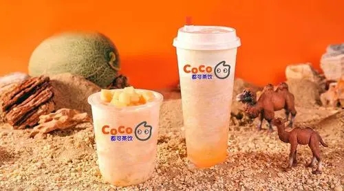 coco奶茶店加盟条件