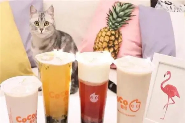 coco奶茶加盟店数量变化图