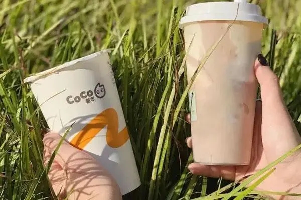 coco奶茶店加盟费用大概多少
